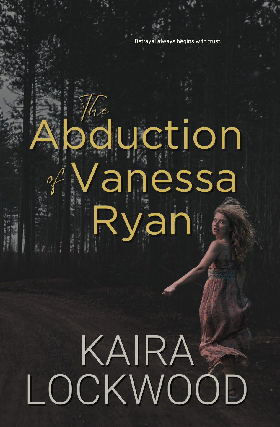 The Abduction of Vanessa Ryan | Excerpt